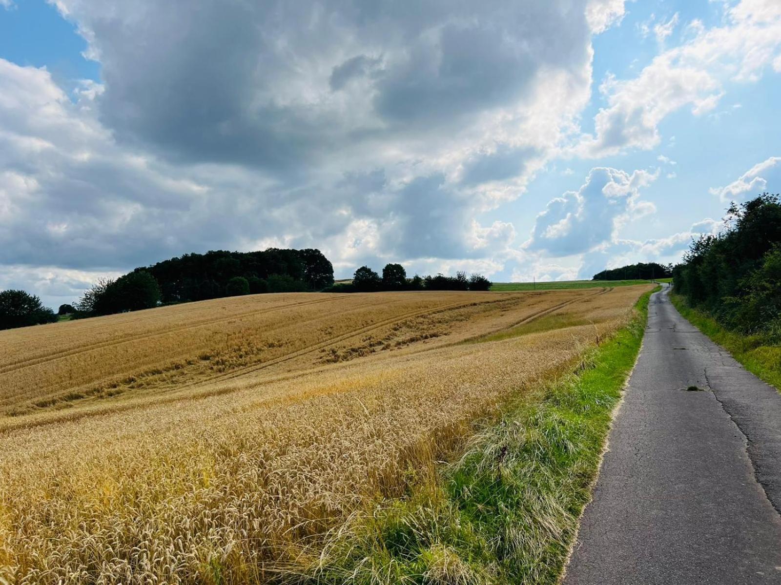 Ferienwohnung In Der Schoenen Eifel! Mechernich Exteriör bild